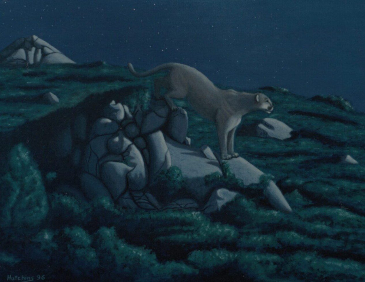 Two wolves resting on a rocky terrain under a night sky.